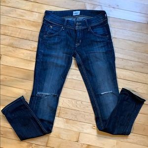 Hudson Collin skinny jean